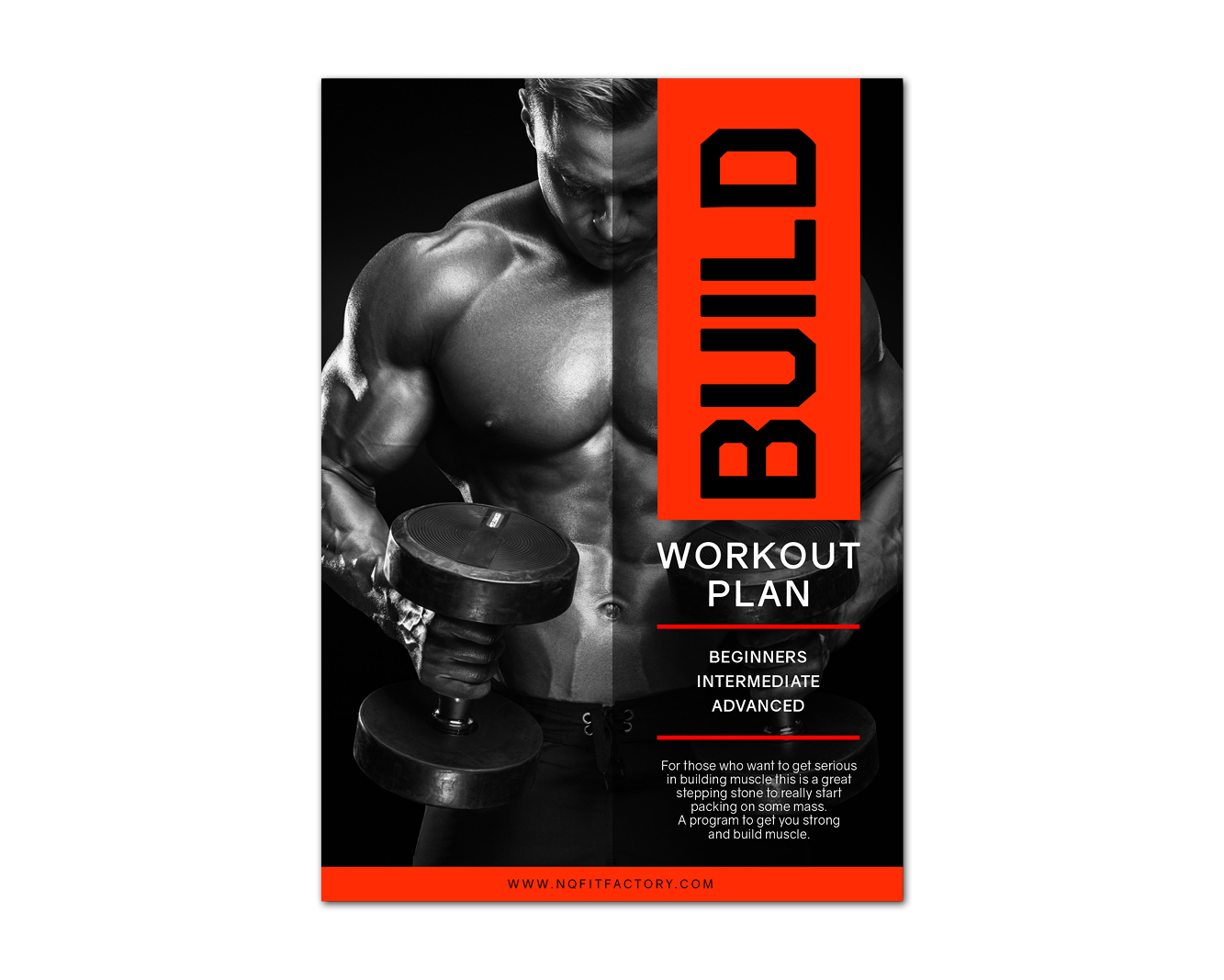 Muscle building workout plan for beginners 2025